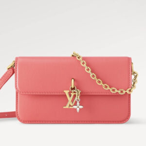 L*uis V*itton Purse