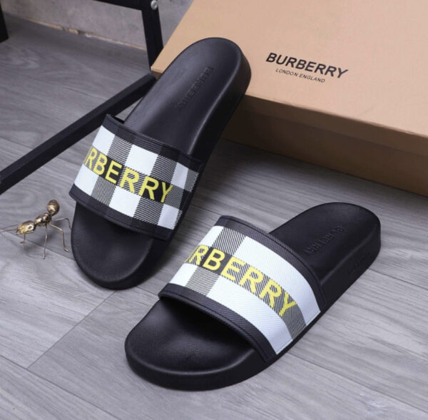 Burberr* Slides